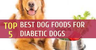 My recipe for homemade diabetic dog food. The Best Dog Foods For Diabetic Dogs Top 5 Picks In 2021