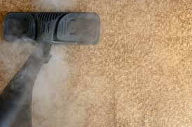 carpet cleaning service servicemaster
