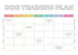 edit this colorful grid dog training