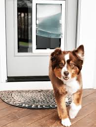 Dog Doors In All Sizes Hale Pet Door