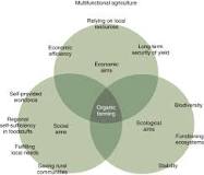 Organic Farming - an overview | ScienceDirect Topics