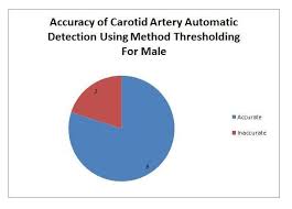 Pie Chart Of Accuracy Of Carotid Artery Automatic Detection