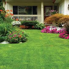 Another way of choosing the right company for your lawn is by conducting interviews with lawn mower services near you. Columbia Lawn Care Lawn Maintenance Columbia Sc