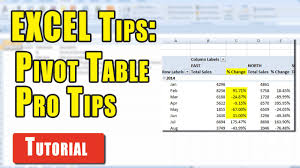 excel tips pivot table pro tips