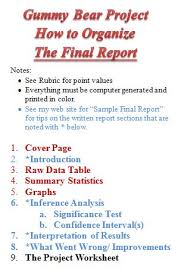 writeup of project final report SlidePlayer