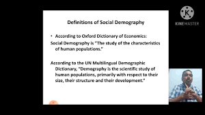 definition of social demography