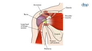 Shoulder pain is a common complaint. Shoulder Pain Treatment Men S Health Clinic At Dtap Siglap