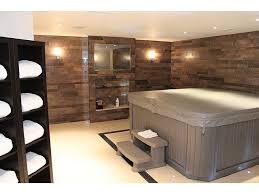 Hot Tub Basement And Steam Room