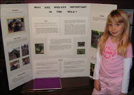 Wolf Science Fair Project Takes Third Place