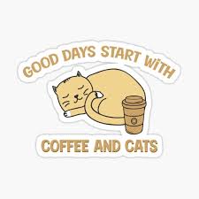 Cats coffee comedy & quotes. Cats And Coffee Quote Gifts Merchandise Redbubble