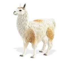 llama toy miniature replica at anwo
