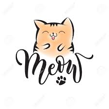 Image result for meow