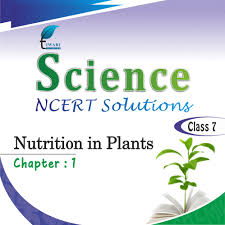 cl 7 science chapter 1 nutrition