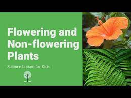 flowering and non flowering plants