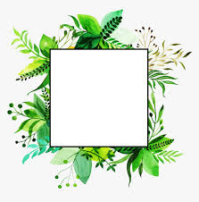 birthday frame green background hd png