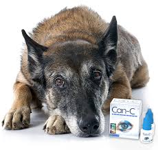 can c eye drops for dogs wise choice