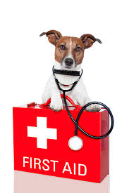 Pet emergencies can be unexpected and scary, but the. Best Friends Animal Hospital 24 Hour Emergency Vet Billings Mtbest Friends Animal Hospital