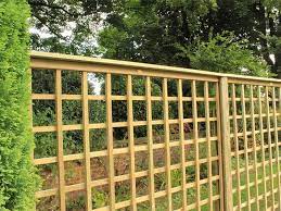 Diffe Trellis Types Best Trellis