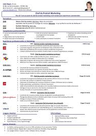 Free Professional Resume Format  Free Plush Professional Resume     Template net Professional Resume Template Free  Free Download It Professional  