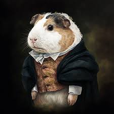 Guinea Pig In Fancy Clothing Well