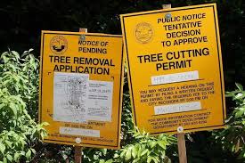 For these reasons, we regulate trees and vegetation removal on private property in certain situations. Tree Removal Permits Everything You Need To Know Menafn Com