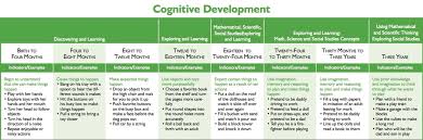 Cognitive Development Birth Through Age 25