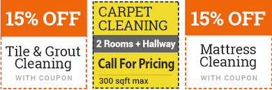 griffith carpet cleaning top carpet