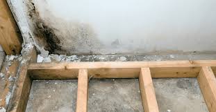 Removing Mold In Your Basement 5 Steps