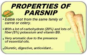 properties of parsnip botanical