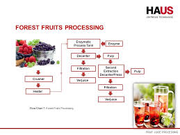 Fruit Juice Processing Ppt Video Online Download