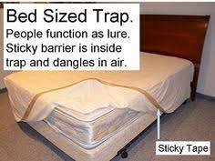 double sided tape won t stop bed bugs