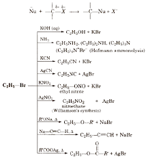Cbse Class 12 Chemistry Notes Haloalkanes And Haloarenes