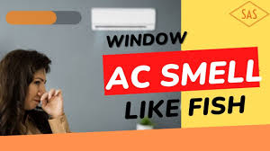 is your window ac smelling like fish