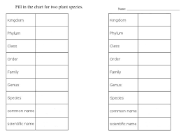 Classifying And Naming Plants Ppt Download