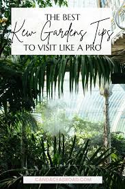 the best kew gardens tips a local s