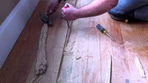 powder post beetle hardwood floor damage
