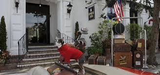 top 6 dog friendly hotels in carmel by