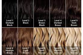 guide for hair color levels find what