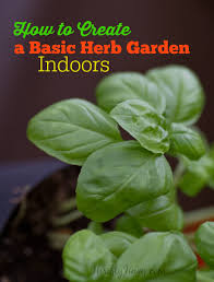 Basic Herb Garden Indoors