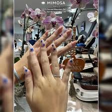 mimosa nails vip nail salon in san