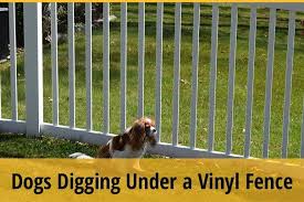 dog from digging under a vinyl fence