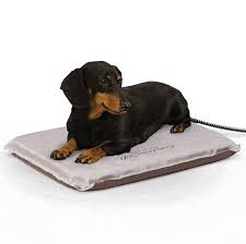 Lectro Soft Heated Pet Bed