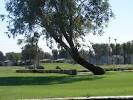Desert Trails Golf Course and Resort Tee Times - El Centro CA