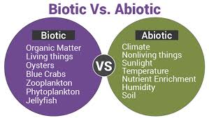 Image result for abiotic vs biotic factors