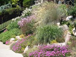 How To Use Rocks In Your Landscape