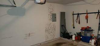 Mold Removal In Houston Air Quality