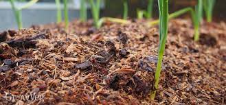the pros and cons of mulching