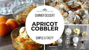 the best apricot cobbler recipe quick