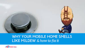 why your mobile home smells like mildew