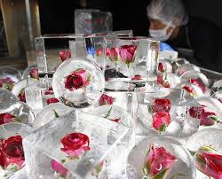 Rose Frozen In Ice Cube Offers New Way